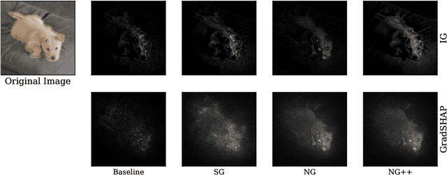 Figure 3 for NoiseGrad: enhancing explanations by introducing stochasticity to model weights