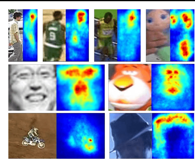 Figure 4 for Online Tracking by Learning Discriminative Saliency Map with Convolutional Neural Network