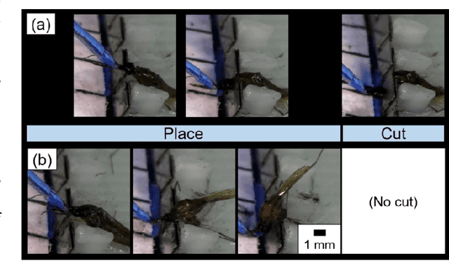 Figure 3 for A Mosquito Pick-and-Place System for PfSPZ-based Malaria Vaccine Production