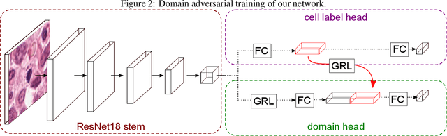 Figure 3 for Learning New Tricks from Old Dogs -- Inter-Species, Inter-Tissue Domain Adaptation for Mitotic Figure Assessment