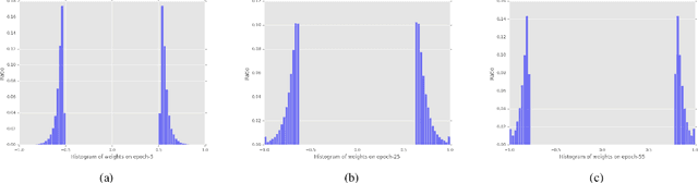 Figure 1 for Propagating Asymptotic-Estimated Gradients for Low Bitwidth Quantized Neural Networks