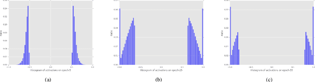 Figure 2 for Propagating Asymptotic-Estimated Gradients for Low Bitwidth Quantized Neural Networks