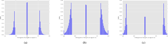 Figure 3 for Propagating Asymptotic-Estimated Gradients for Low Bitwidth Quantized Neural Networks