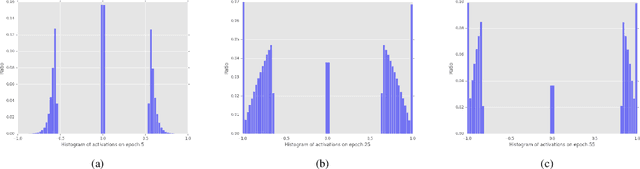 Figure 4 for Propagating Asymptotic-Estimated Gradients for Low Bitwidth Quantized Neural Networks