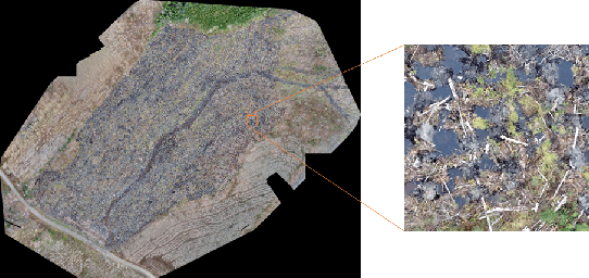 Figure 1 for Automatic counting of mounds on UAV images: combining instance segmentation and patch-level correction