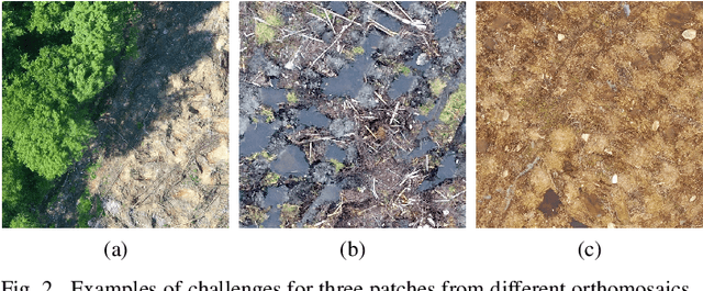 Figure 2 for Automatic counting of mounds on UAV images: combining instance segmentation and patch-level correction