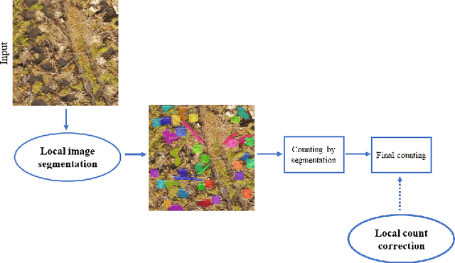 Figure 4 for Automatic counting of mounds on UAV images: combining instance segmentation and patch-level correction
