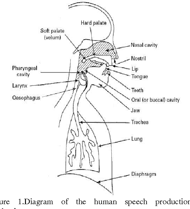 Figure 1 for An Overview of Hindi Speech Recognition