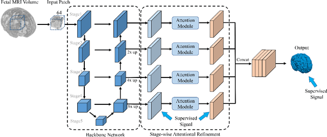 Figure 2 for A Deep Attentive Convolutional Neural Network for Automatic Cortical Plate Segmentation in Fetal MRI