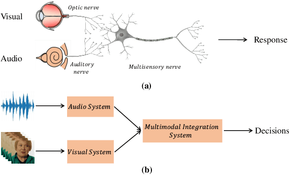 Figure 3 for An Audio-Visual Attention Based Multimodal Network for Fake Talking Face Videos Detection