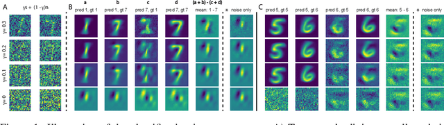 Figure 1 for White Noise Analysis of Neural Networks