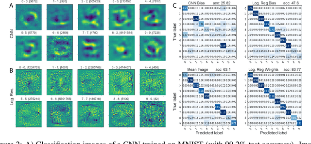 Figure 2 for White Noise Analysis of Neural Networks