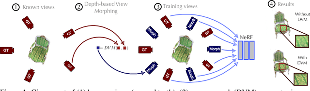 Figure 1 for Data augmentation for NeRF: a geometric consistent solution based on view morphing