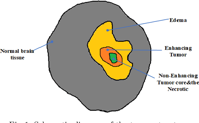 Figure 1 for Multi-step Cascaded Networks for Brain Tumor Segmentation