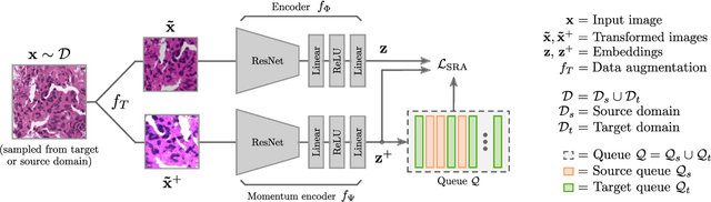 Figure 1 for Self-Rule to Adapt: Generalized Multi-source Feature Learning Using Unsupervised Domain Adaptation for Colorectal Cancer Tissue Detection