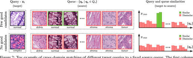 Figure 3 for Self-Rule to Adapt: Generalized Multi-source Feature Learning Using Unsupervised Domain Adaptation for Colorectal Cancer Tissue Detection