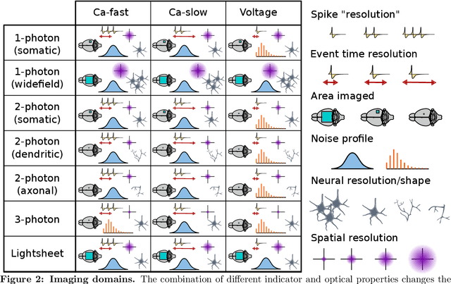 Figure 2 for Data Processing of Functional Optical Microscopy for Neuroscience