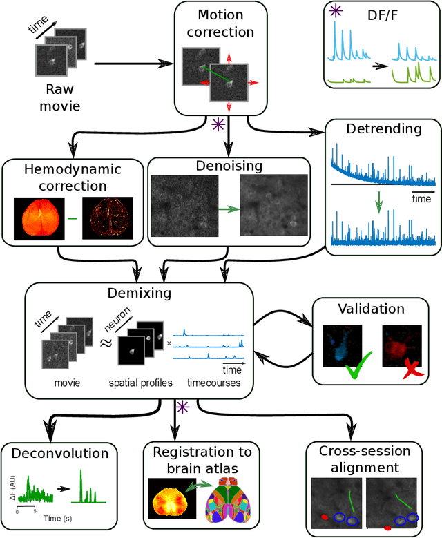 Figure 3 for Data Processing of Functional Optical Microscopy for Neuroscience