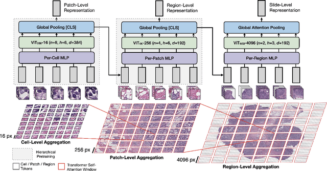 Figure 3 for Scaling Vision Transformers to Gigapixel Images via Hierarchical Self-Supervised Learning