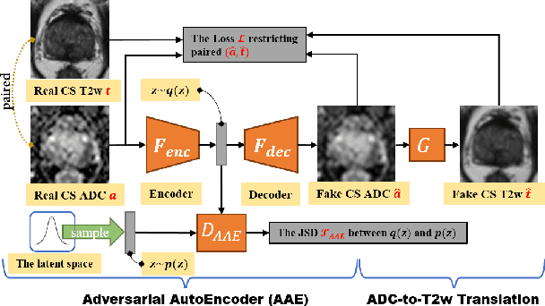 Figure 1 for Semi-supervised mp-MRI Data Synthesis with StitchLayer and Auxiliary Distance Maximization