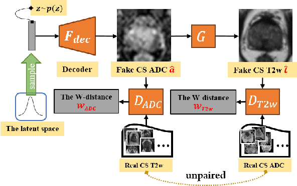 Figure 2 for Semi-supervised mp-MRI Data Synthesis with StitchLayer and Auxiliary Distance Maximization