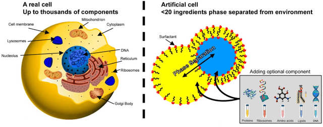 Figure 1 for Origin of life from a maker's perspective -- focus on protocellular compartments in bottom-up synthetic biology