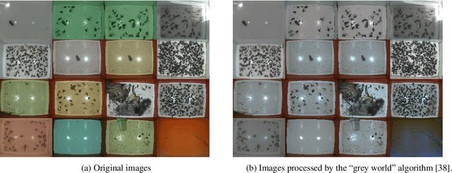 Figure 3 for Automatic Moth Detection from Trap Images for Pest Management