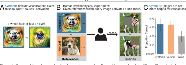 Figure 1 for How Well do Feature Visualizations Support Causal Understanding of CNN Activations?