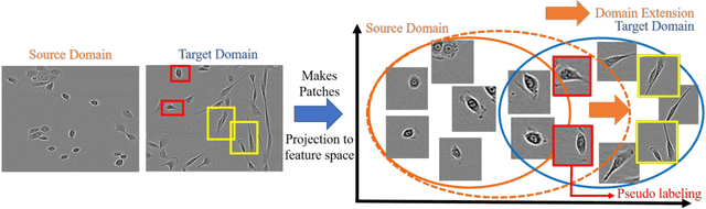 Figure 1 for Cell Detection in Domain Shift Problem Using Pseudo-Cell-Position Heatmap