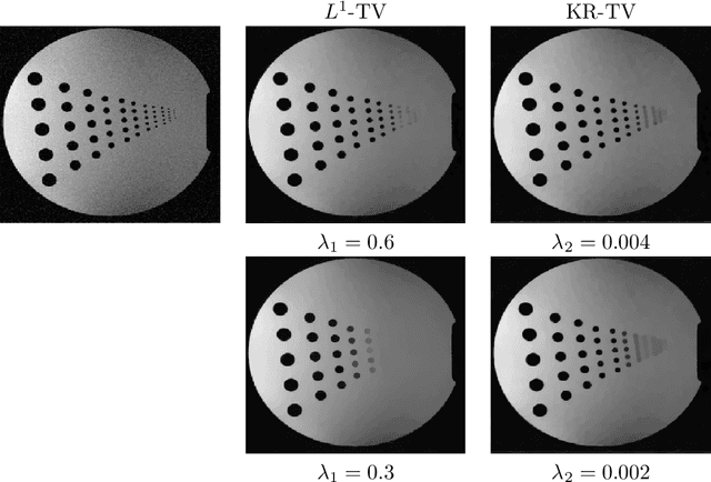 Figure 3 for Imaging with Kantorovich-Rubinstein discrepancy
