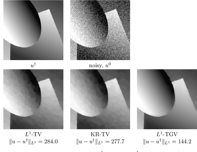 Figure 4 for Imaging with Kantorovich-Rubinstein discrepancy
