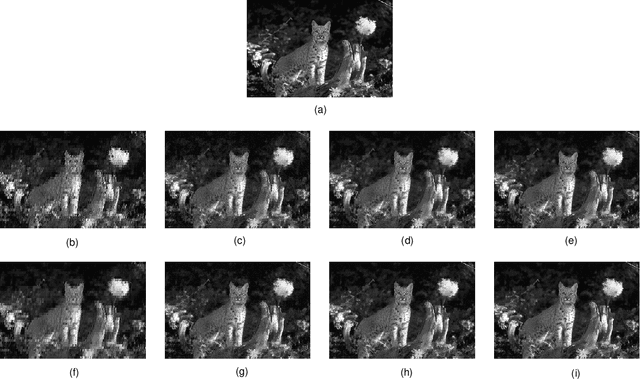 Figure 3 for Exploiting Restricted Boltzmann Machines and Deep Belief Networks in Compressed Sensing
