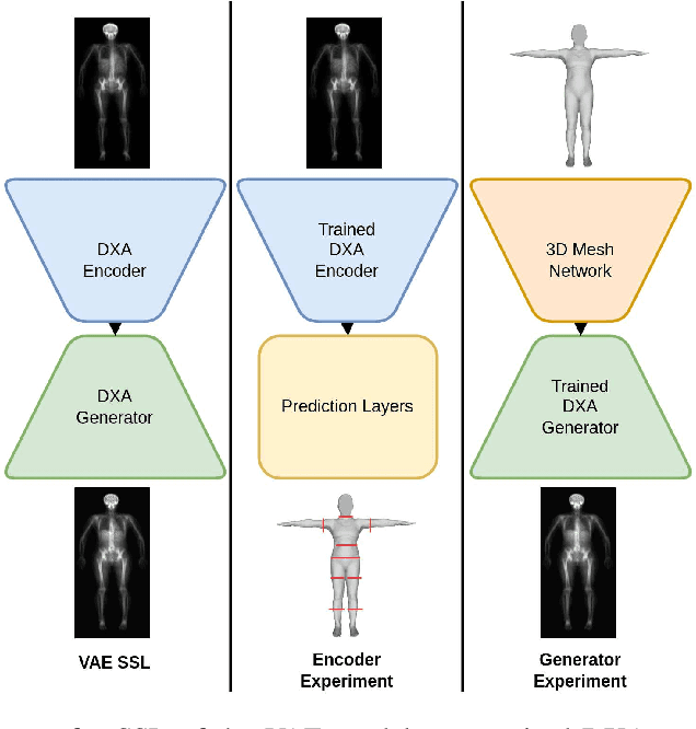 Figure 1 for Quantitative Imaging Principles Improves Medical Image Learning
