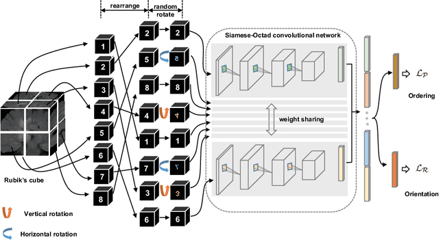 Figure 1 for Self-supervised Feature Learning for 3D Medical Images by Playing a Rubik's Cube