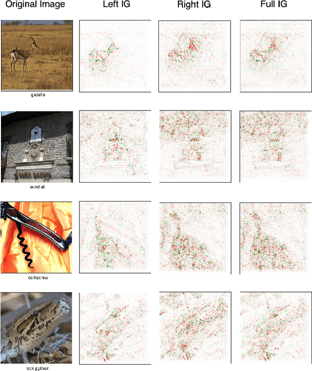 Figure 3 for Investigating Saturation Effects in Integrated Gradients