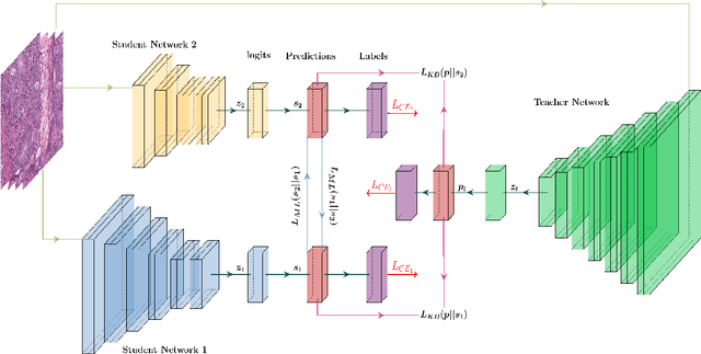 Figure 1 for Augmenting Knowledge Distillation With Peer-To-Peer Mutual Learning For Model Compression