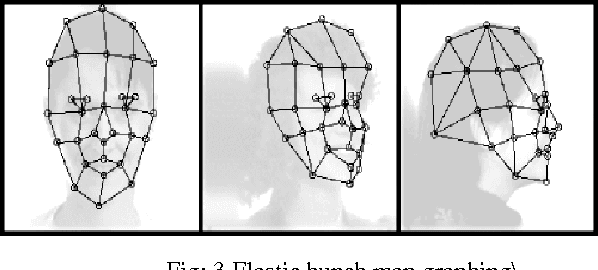 Figure 3 for An Efficient Method for Face Recognition System In Various Assorted Conditions