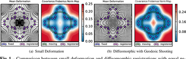 Figure 1 for Probabilistic Diffeomorphic Registration: Representing Uncertainty