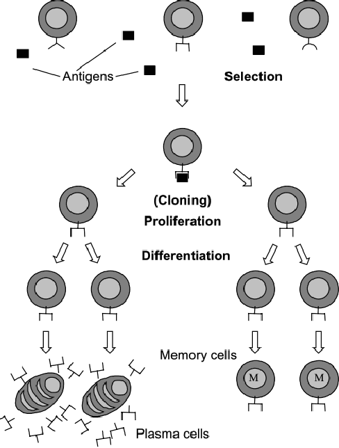 Figure 3 for Data Selection for Semi-Supervised Learning