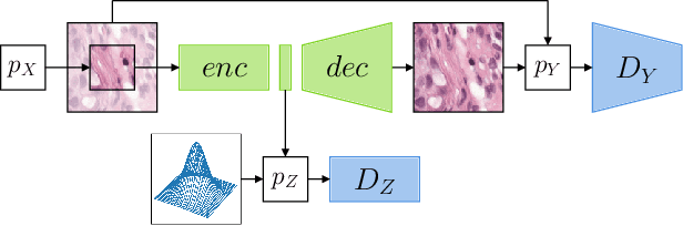 Figure 1 for Self-Supervised Representation Learning using Visual Field Expansion on Digital Pathology