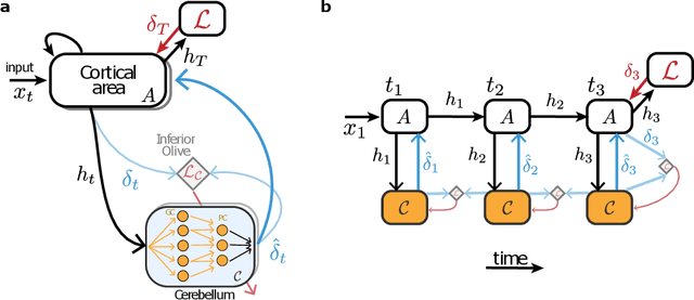 Figure 1 for Cortico-cerebellar networks as decoupling neural interfaces