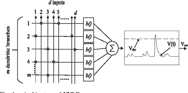 Figure 1 for Learning Spike time codes through Morphological Learning with Binary Synapses