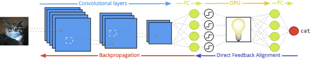 Figure 1 for Adversarial Robustness by Design through Analog Computing and Synthetic Gradients