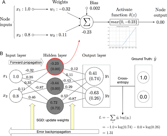 Figure 2 for Deep learning in bioinformatics: introduction, application, and perspective in big data era