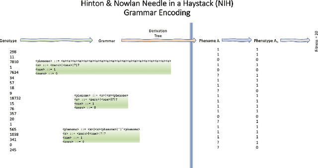 Figure 4 for An exploration of asocial and social learning in the evolution of variable-length structures