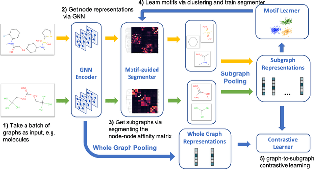 Figure 1 for Motif-Driven Contrastive Learning of Graph Representations