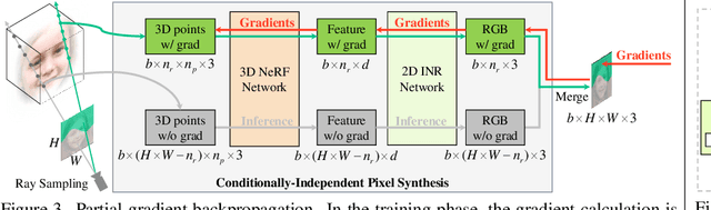 Figure 4 for CIPS-3D: A 3D-Aware Generator of GANs Based on Conditionally-Independent Pixel Synthesis