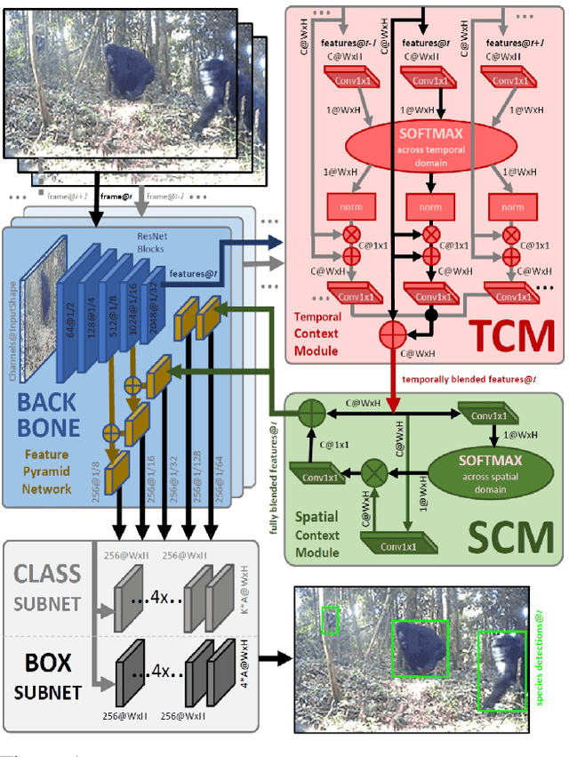 Figure 1 for Great Ape Detection in Challenging Jungle Camera Trap Footage via Attention-Based Spatial and Temporal Feature Blending