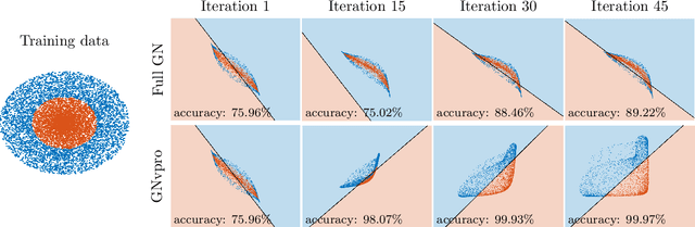 Figure 1 for Train Like a Pro: Efficient Training of Neural Networks with Variable Projection