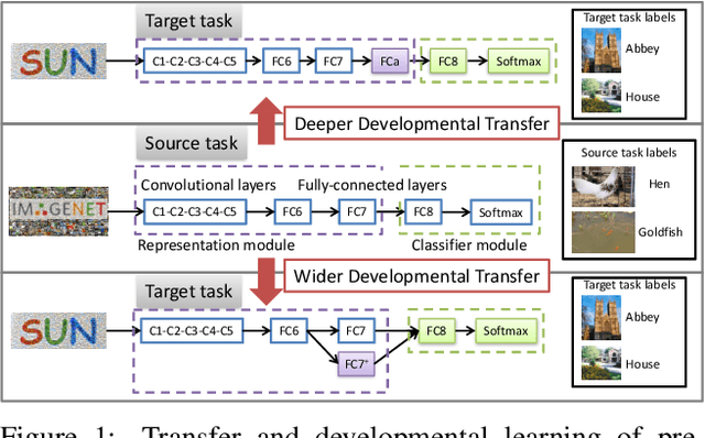 Figure 1 for Growing a Brain: Fine-Tuning by Increasing Model Capacity